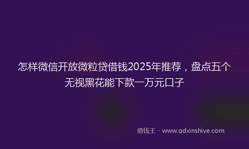 怎样微信开放微粒贷借钱2025年推荐，盘点五个无视黑花能下款一万元口子