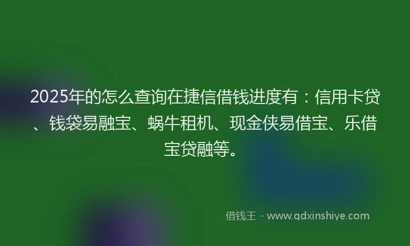 2025年的怎么查询在捷信借钱进度有：信用卡贷、钱袋易融宝、蜗牛租机、现金侠易借宝、乐借宝贷融等。