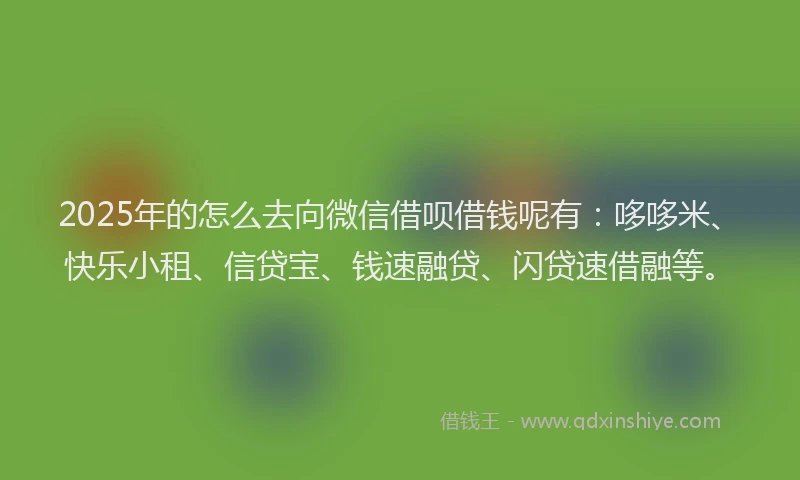2025年的怎么去向微信借呗借钱呢有：哆哆米、快乐小租、信贷宝、钱速融贷、闪贷速借融等。