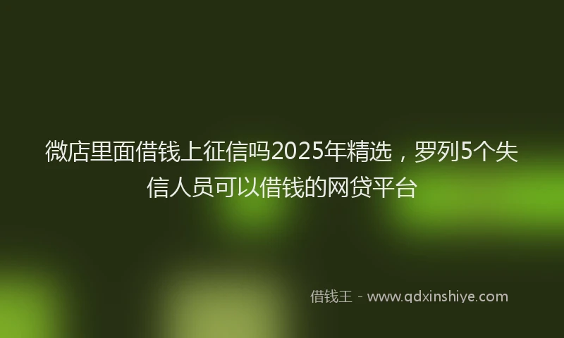 微店里面借钱上征信吗2025年精选，罗列5个失信人员可以借钱的网贷平台