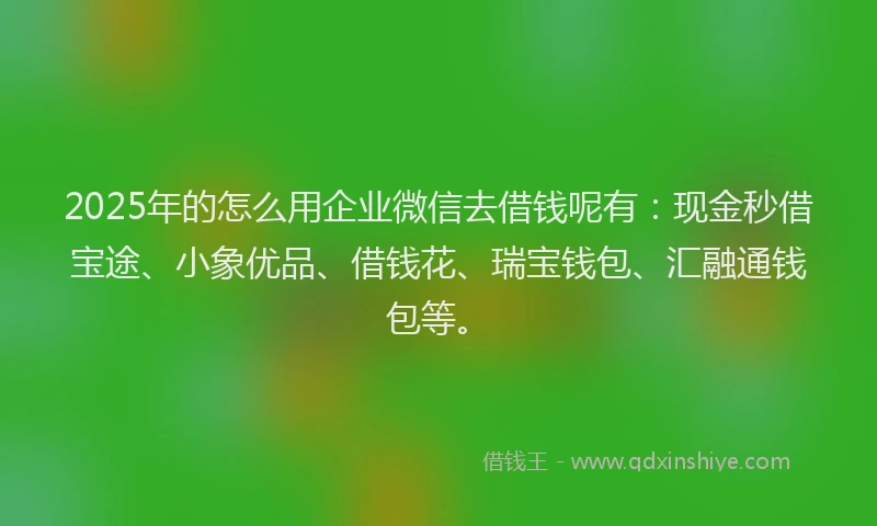 2025年的怎么用企业微信去借钱呢有：现金秒借宝途、小象优品、借钱花、瑞宝钱包、汇融通钱包等。