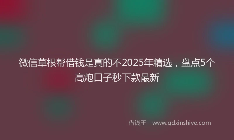 微信草根帮借钱是真的不2025年精选，盘点5个高炮口子秒下款最新
