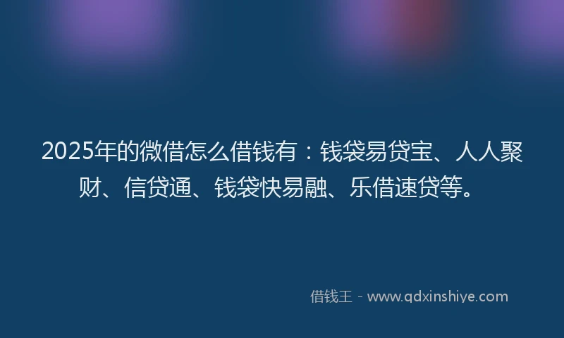 2025年的微借怎么借钱有：钱袋易贷宝、人人聚财、信贷通、钱袋快易融、乐借速贷等。