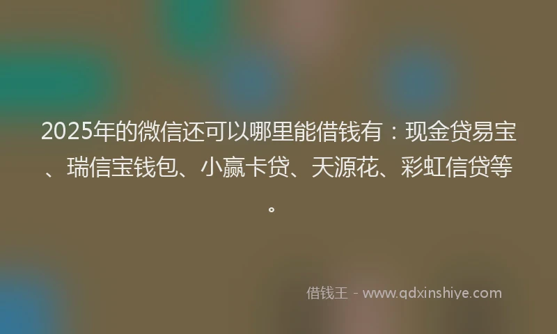 2025年的微信还可以哪里能借钱有：现金贷易宝、瑞信宝钱包、小赢卡贷、天源花、彩虹信贷等。