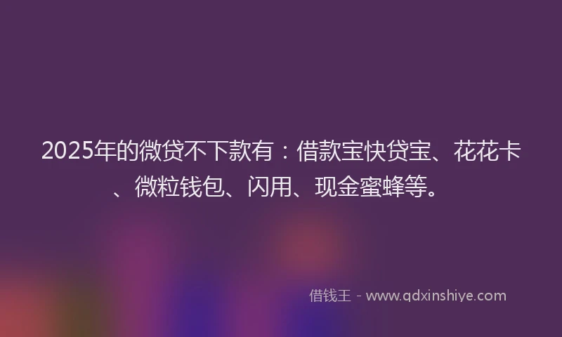 2025年的微贷不下款有：借款宝快贷宝、花花卡、微粒钱包、闪用、现金蜜蜂等。