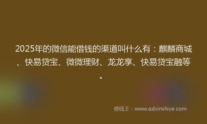 2025年的微信能借钱的渠道叫什么有：麒麟商城、快易贷宝、微微理财、龙龙享、快易贷宝融等。