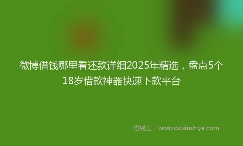 微博借钱哪里看还款详细2025年精选，盘点5个18岁借款神器快速下款平台