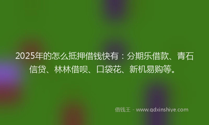 2025年的怎么抵押借钱快有：分期乐借款、青石信贷、林林借呗、口袋花、新机易购等。