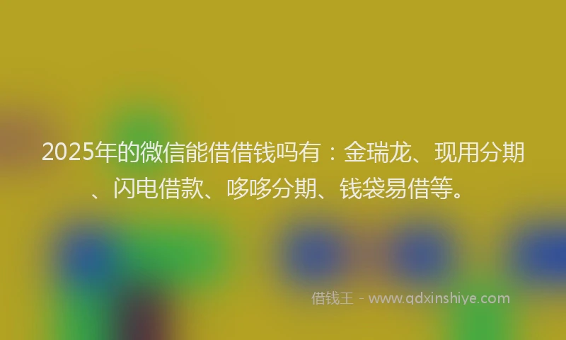 2025年的微信能借借钱吗有：金瑞龙、现用分期、闪电借款、哆哆分期、钱袋易借等。