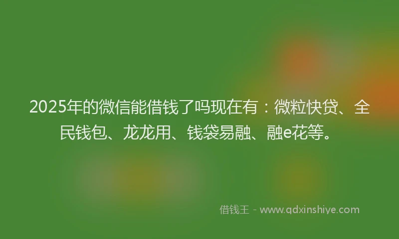 2025年的微信能借钱了吗现在有：微粒快贷、全民钱包、龙龙用、钱袋易融、融e花等。