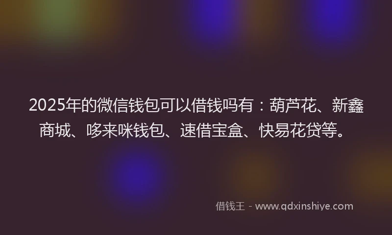 2025年的微信钱包可以借钱吗有：葫芦花、新鑫商城、哆来咪钱包、速借宝盒、快易花贷等。