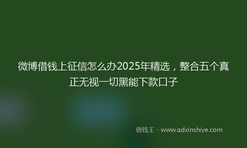 微博借钱上征信怎么办2025年精选，整合五个真正无视一切黑能下款口子