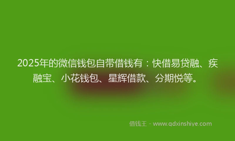 2025年的微信钱包自带借钱有：快借易贷融、疾融宝、小花钱包、星辉借款、分期悦等。