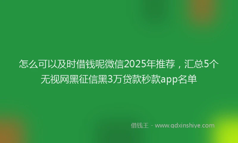 怎么可以及时借钱呢微信2025年推荐，汇总5个无视网黑征信黑3万贷款秒款app名单