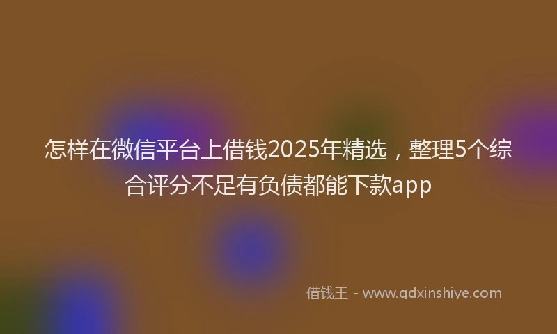 怎样在微信平台上借钱2025年精选，整理5个综合评分不足有负债都能下款app