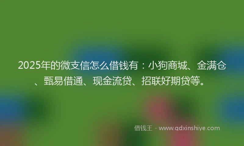 2025年的微支信怎么借钱有：小狗商城、金满仓、甄易借通、现金流贷、招联好期贷等。