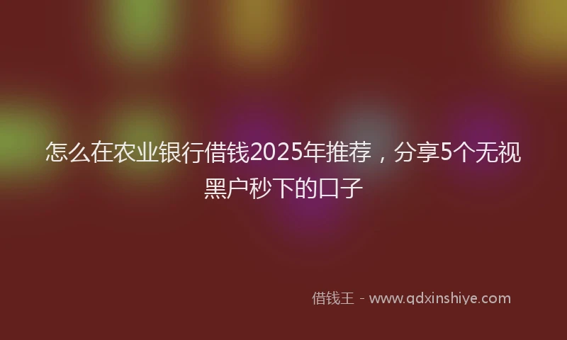 怎么在农业银行借钱2025年推荐，分享5个无视黑户秒下的口子