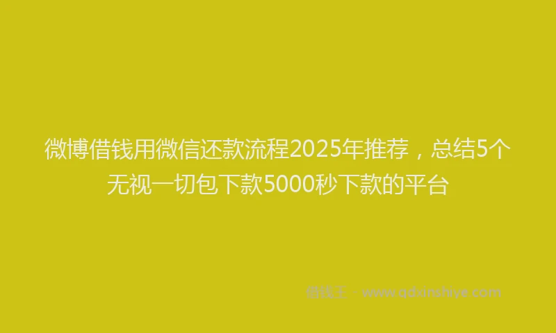 微博借钱用微信还款流程2025年推荐，总结5个无视一切包下款5000秒下款的平台