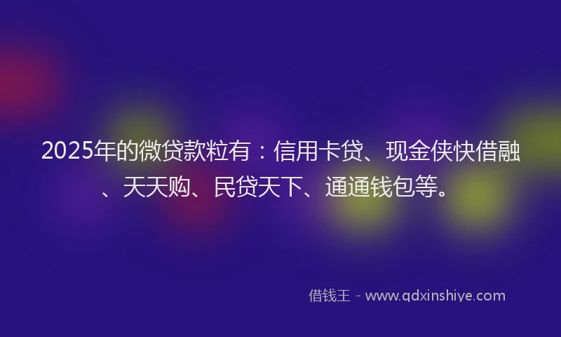 2025年的微贷款粒有：信用卡贷、现金侠快借融、天天购、民贷天下、通通钱包等。