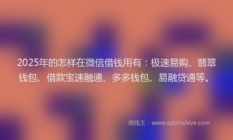 2025年的怎样在微信借钱用有：极速易购、翡翠钱包、借款宝速融通、多多钱包、易融贷通等。