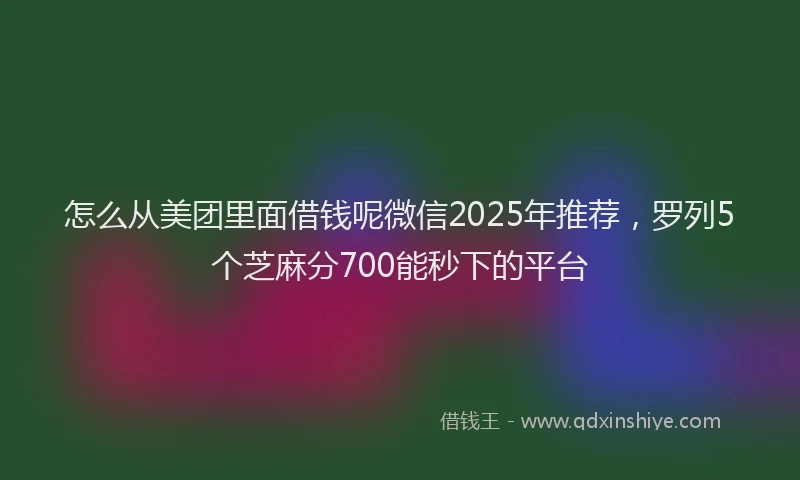 怎么从美团里面借钱呢微信2025年推荐，罗列5个芝麻分700能秒下的平台