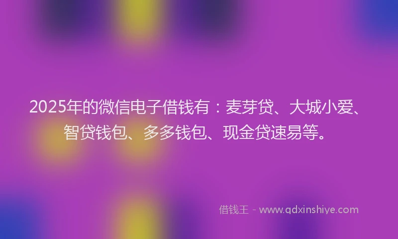 2025年的微信电子借钱有：麦芽贷、大城小爱、智贷钱包、多多钱包、现金贷速易等。