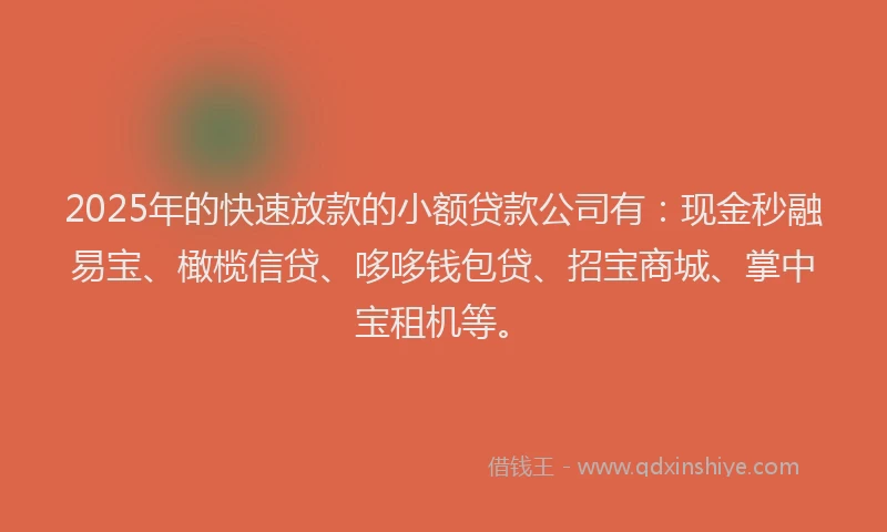 2025年的快速放款的小额贷款公司有：现金秒融易宝、橄榄信贷、哆哆钱包贷、招宝商城、掌中宝租机等。