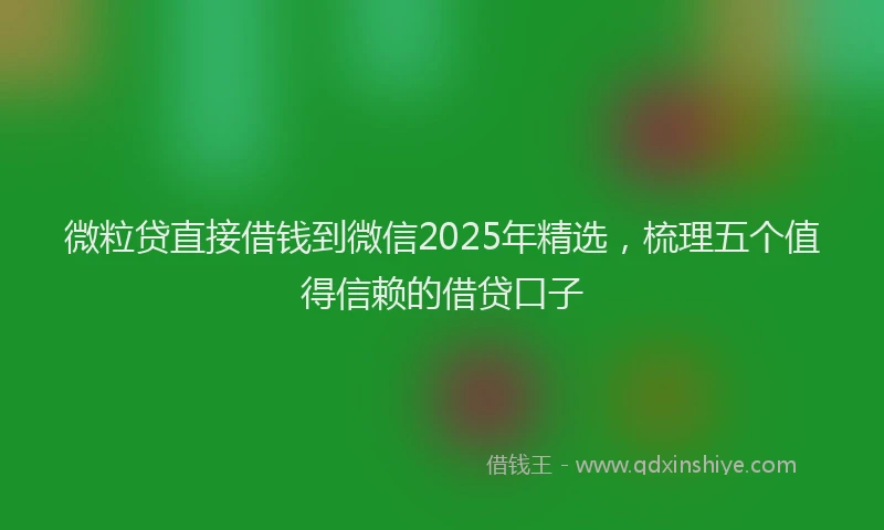 微粒贷直接借钱到微信2025年精选，梳理五个值得信赖的借贷口子