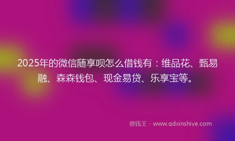 2025年的微信随享呗怎么借钱有：维品花、甄易融、森森钱包、现金易贷、乐享宝等。