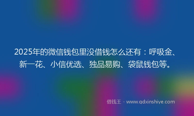 2025年的微信钱包里没借钱怎么还有：呼吸金、新一花、小信优选、独品易购、袋鼠钱包等。