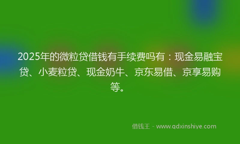 2025年的微粒贷借钱有手续费吗有：现金易融宝贷、小麦粒贷、现金奶牛、京东易借、京享易购等。
