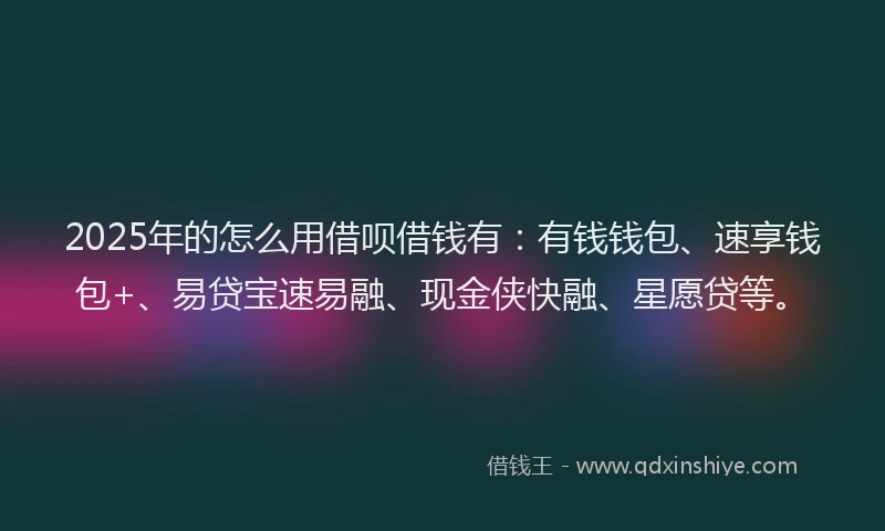 2025年的怎么用借呗借钱有：有钱钱包、速享钱包+、易贷宝速易融、现金侠快融、星愿贷等。