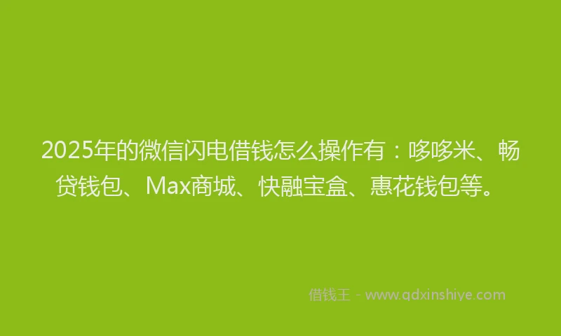 2025年的微信闪电借钱怎么操作有：哆哆米、畅贷钱包、Max商城、快融宝盒、惠花钱包等。