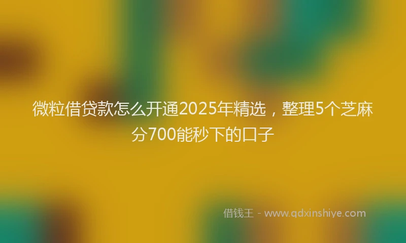 微粒借贷款怎么开通2025年精选，整理5个芝麻分700能秒下的口子
