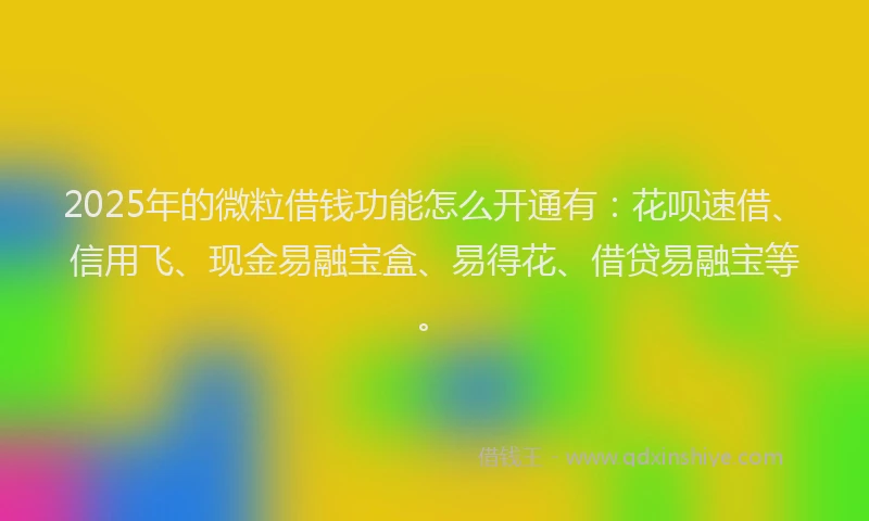 2025年的微粒借钱功能怎么开通有：花呗速借、信用飞、现金易融宝盒、易得花、借贷易融宝等。
