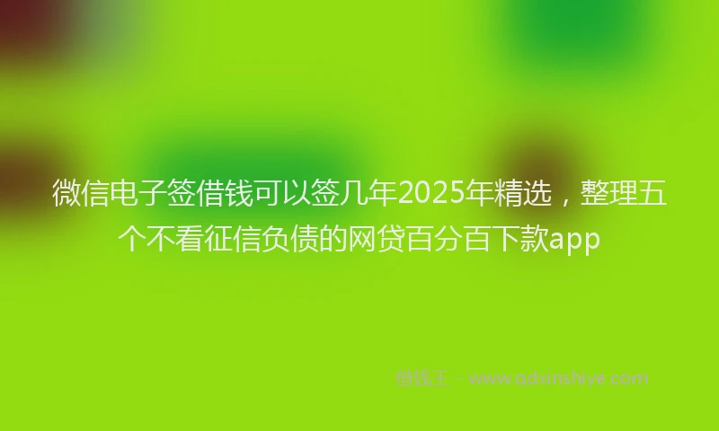 微信电子签借钱可以签几年2025年精选，整理五个不看征信负债的网贷百分百下款app