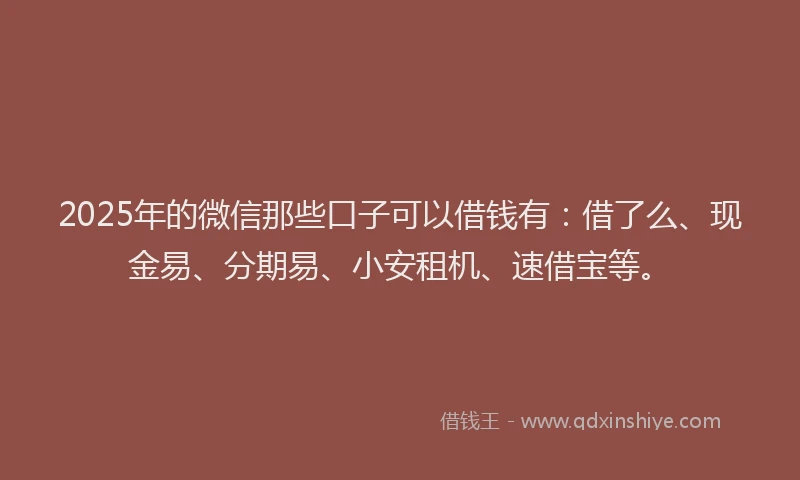 2025年的微信那些口子可以借钱有：借了么、现金易、分期易、小安租机、速借宝等。