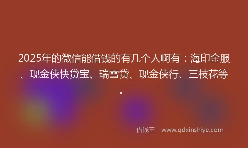 2025年的微信能借钱的有几个人啊有：海印金服、现金侠快贷宝、瑞雪贷、现金侠行、三枝花等。