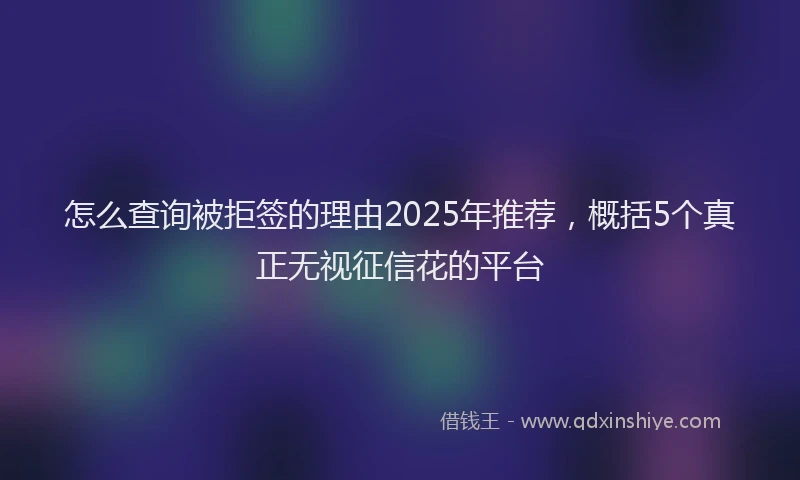 怎么查询被拒签的理由2025年推荐，概括5个真正无视征信花的平台