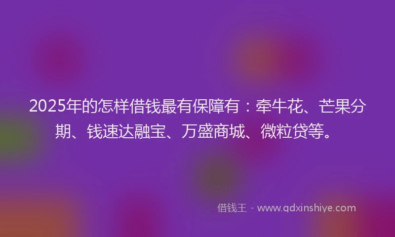 2025年的怎样借钱最有保障有：牵牛花、芒果分期、钱速达融宝、万盛商城、微粒贷等。