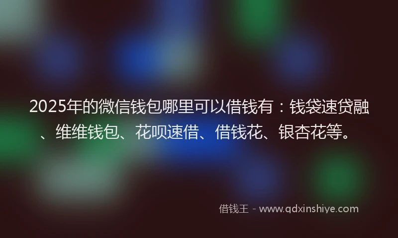 2025年的微信钱包哪里可以借钱有：钱袋速贷融、维维钱包、花呗速借、借钱花、银杏花等。