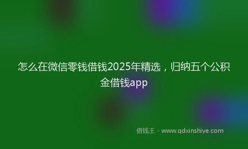 怎么在微信零钱借钱2025年精选，归纳五个公积金借钱app