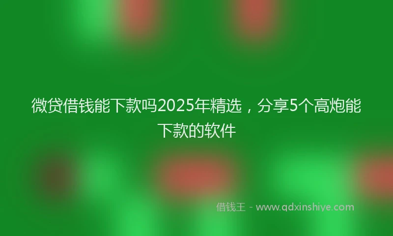 微贷借钱能下款吗2025年精选，分享5个高炮能下款的软件