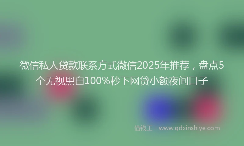 微信私人贷款联系方式微信2025年推荐，盘点5个无视黑白100%秒下网贷小额夜间口子