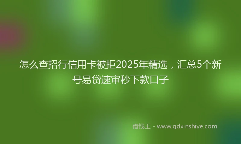 怎么查招行信用卡被拒2025年精选，汇总5个新号易贷速审秒下款口子