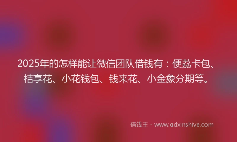 2025年的怎样能让微信团队借钱有：便荔卡包、桔享花、小花钱包、钱来花、小金象分期等。