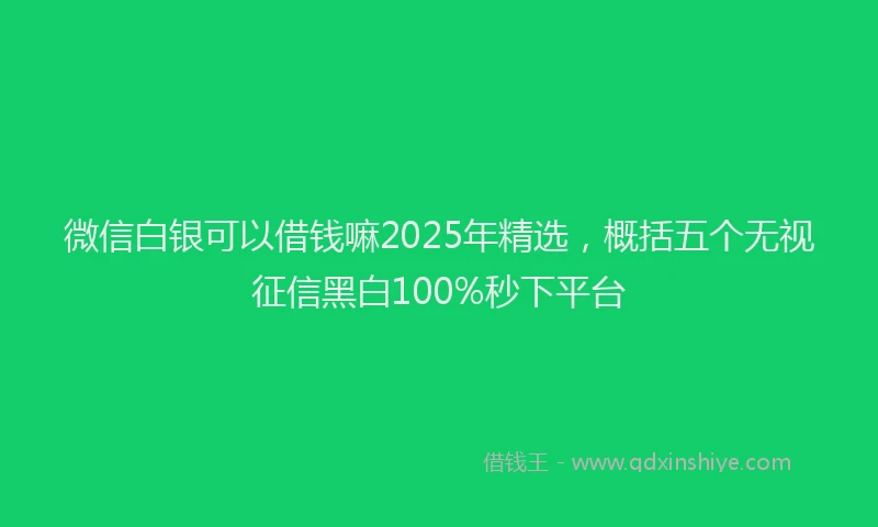 微信白银可以借钱嘛2025年精选，概括五个无视征信黑白100%秒下平台
