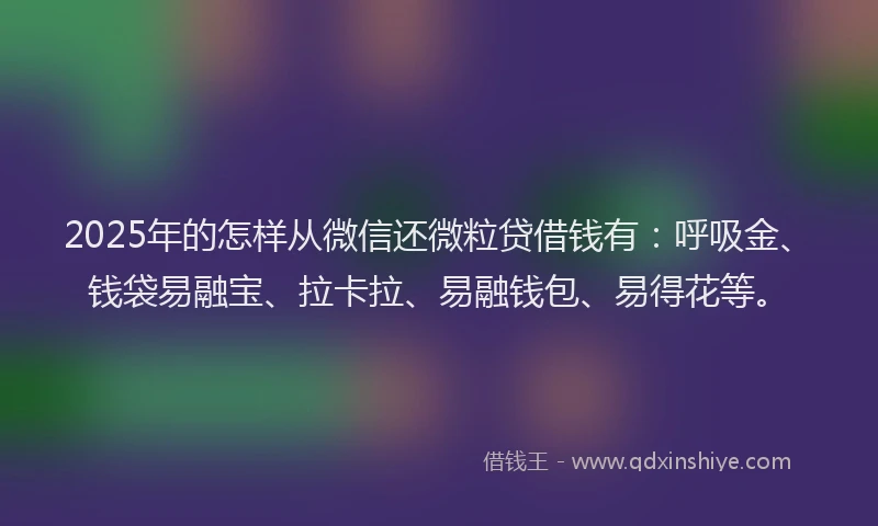 2025年的怎样从微信还微粒贷借钱有：呼吸金、钱袋易融宝、拉卡拉、易融钱包、易得花等。