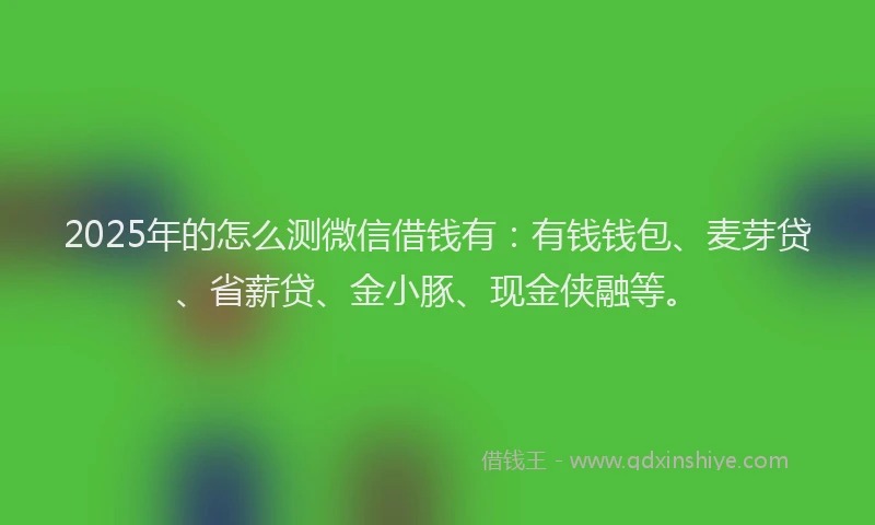 2025年的怎么测微信借钱有：有钱钱包、麦芽贷、省薪贷、金小豚、现金侠融等。