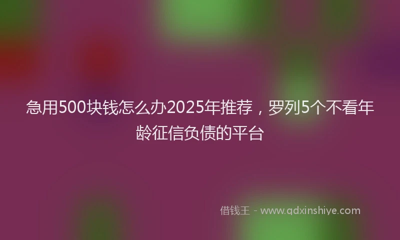 急用500块钱怎么办2025年推荐，罗列5个不看年龄征信负债的平台